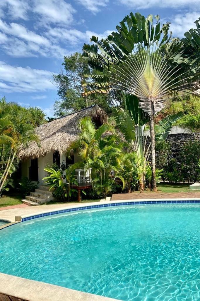 Chalet Tropical Au Coeur De Las Terrenas Exterior foto